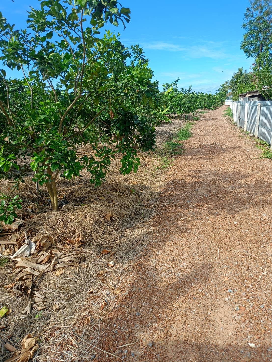 ที่ดินติดแม่น้ำท่าจีน ชัยนาท