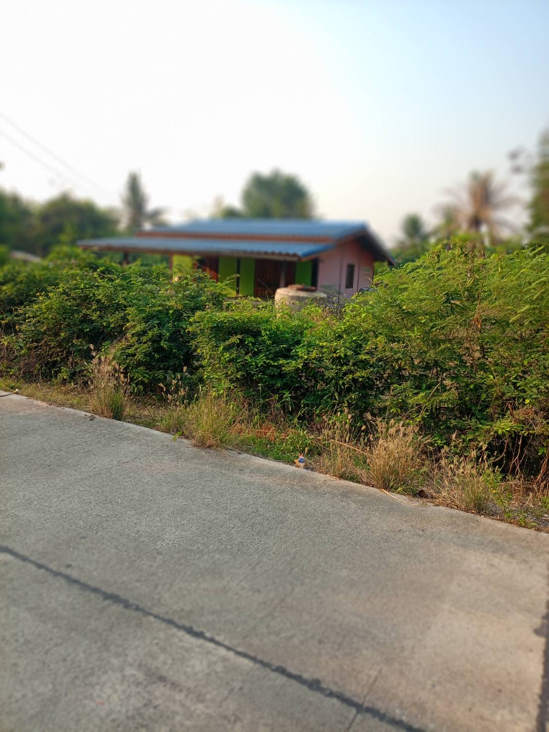 บ้านพร้อมที่ดินทำเลทอง ด่านช้าง สุพรรณบุรี