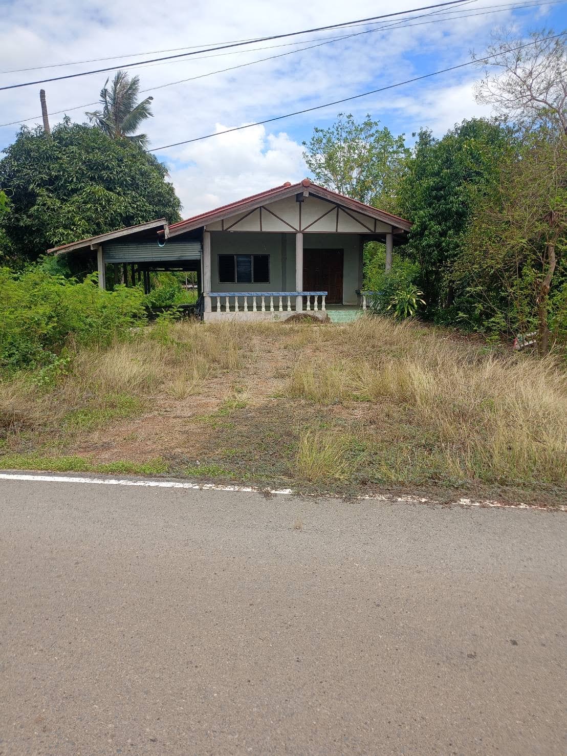 ที่ดินริมน้ำล้านต้นๆ แปลงเดียวในชัยนาท